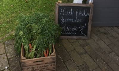 Landesdelegiertentag der Frauen Unionen Jever am 5.September 2014 - 